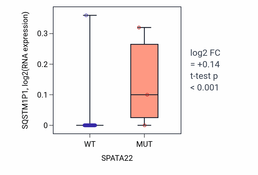 Box plot of SQSTM1P1 in SPATA22-low vs SPATA22-high samples in READ.