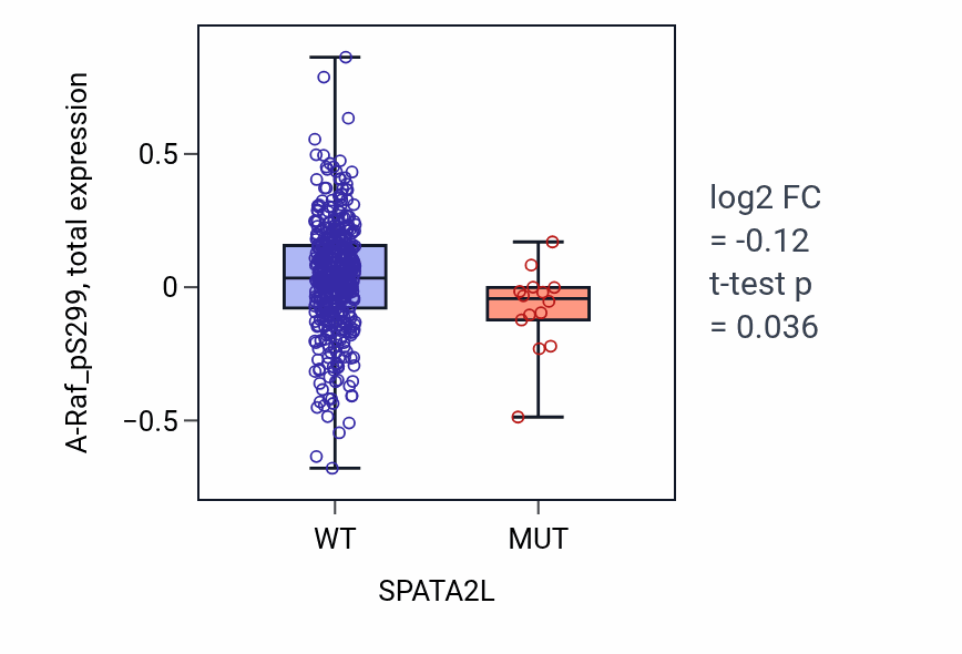 Box plot of A-Raf_pS299 in SPATA2L-low vs SPATA2L-high samples in UCEC.