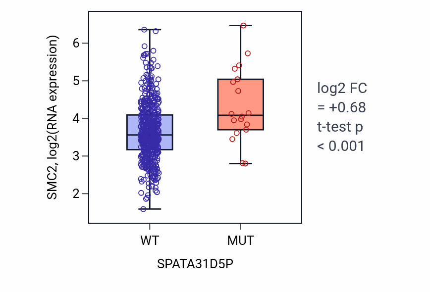 Box plot of SMC2 in SPATA31D5P-low vs SPATA31D5P-high samples in LUAD.