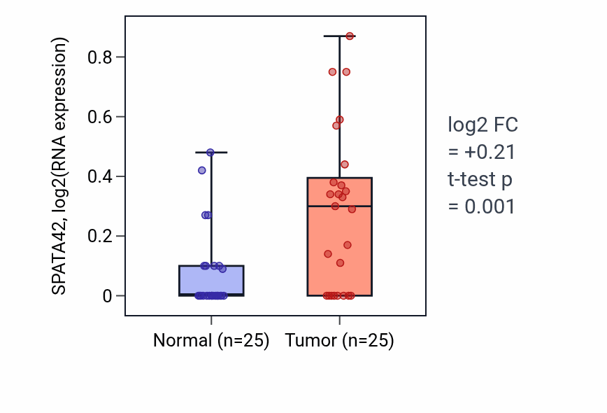 Tumor-vs-normal expression box plot for SPATA42 in HNSC.