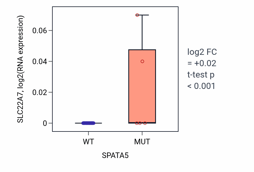Box plot of SLC22A7 in SPATA5-low vs SPATA5-high samples in SKIN.