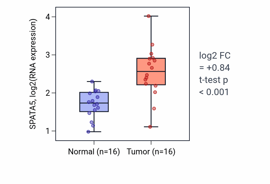 Tumor-vs-normal expression box plot for SPATA5 RNA in HNSC.
