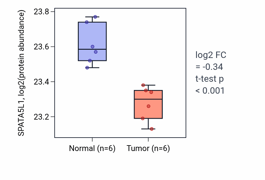 Tumor-vs-normal mass-spec protein box plot for SPATA5L1 in LUAD.