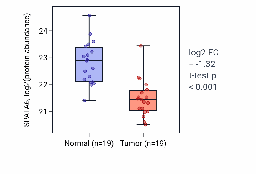 Tumor-vs-normal mass-spec protein box plot for SPATA6 in LSCC.
