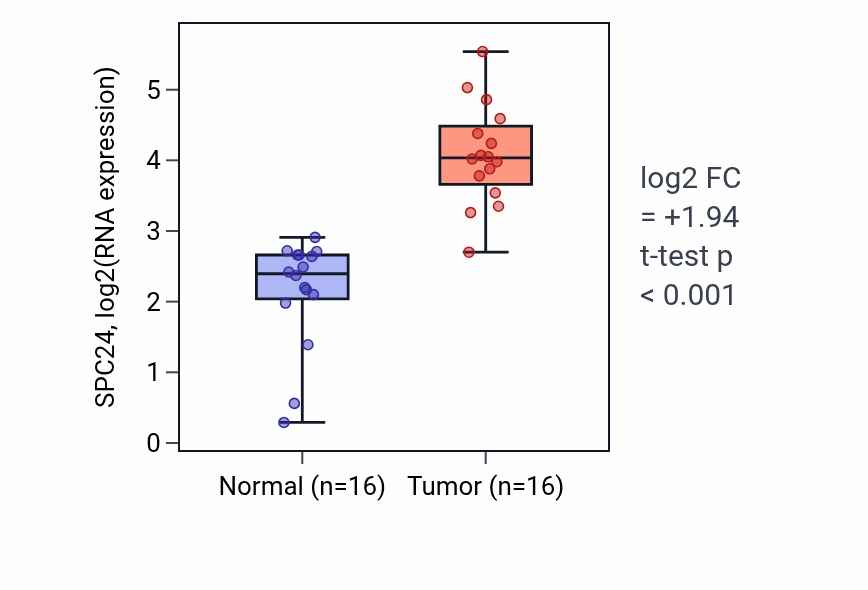 Tumor-vs-normal expression box plot for SPC24 RNA in HNSC.