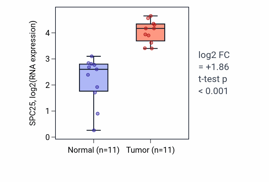 Tumor-vs-normal expression box plot for SPC25 RNA in HNSC.