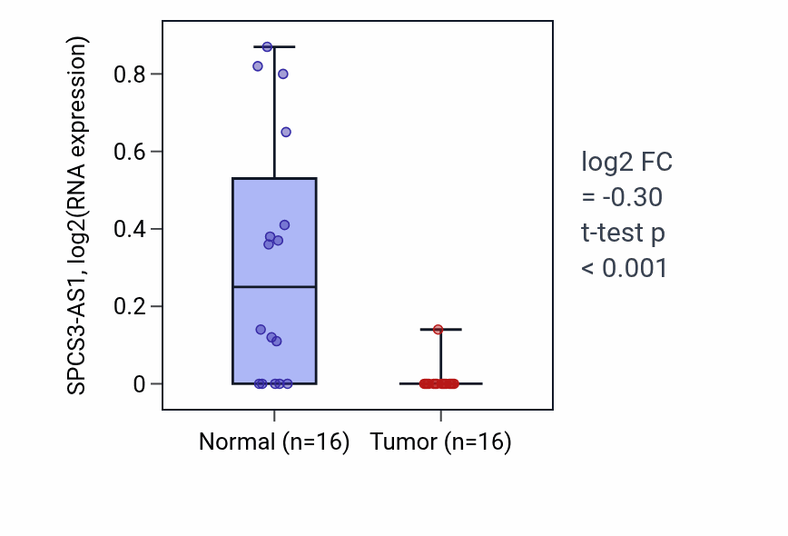 Tumor-vs-normal expression box plot for SPCS3-AS1 in KIRP.