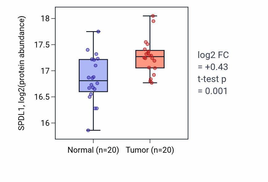 Tumor-vs-normal mass-spec protein box plot for SPDL1 in HNSC.
