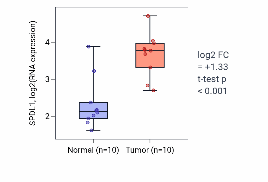Tumor-vs-normal expression box plot for SPDL1 RNA in BLCA.