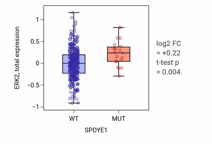 Box plot of ERK2 in SPDYE1-low vs SPDYE1-high samples in UCEC.