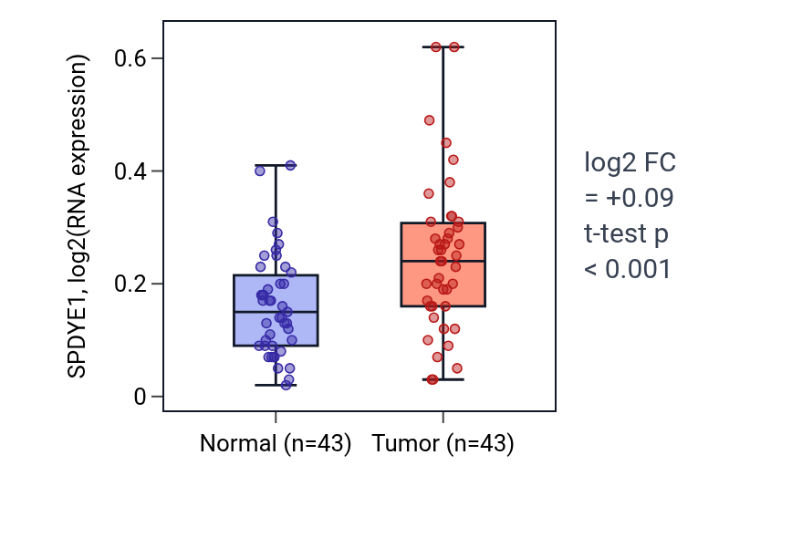 Tumor-vs-normal expression box plot for SPDYE1 in HNSC.