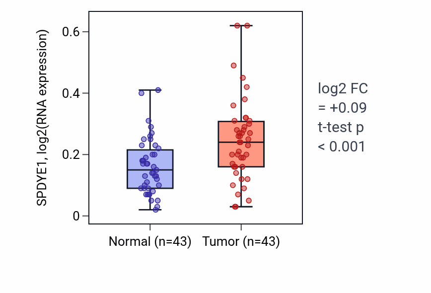 Tumor-vs-normal expression box plot for SPDYE1 RNA in HNSC.