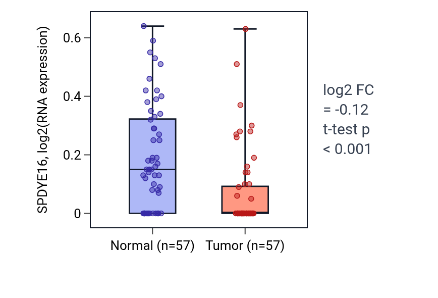 Tumor-vs-normal expression box plot for SPDYE16 in LUAD.