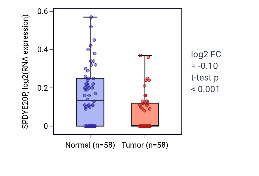 Tumor-vs-normal expression box plot for SPDYE20P in THCA.
