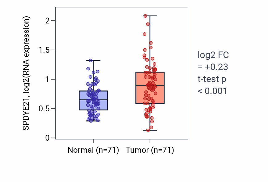 Tumor-vs-normal expression box plot for SPDYE21 in KIRC.