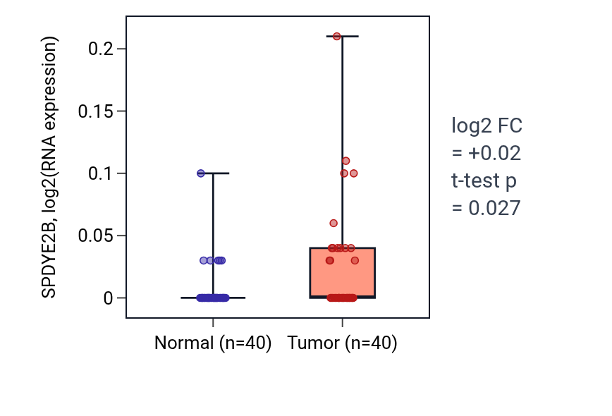 Tumor-vs-normal expression box plot for SPDYE2B in HNSC.