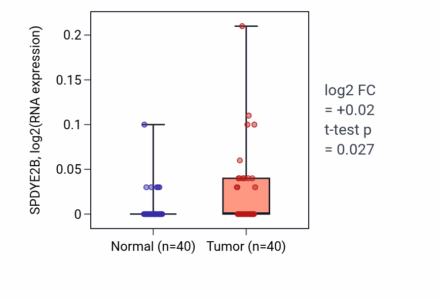 Tumor-vs-normal expression box plot for SPDYE2B RNA in HNSC.