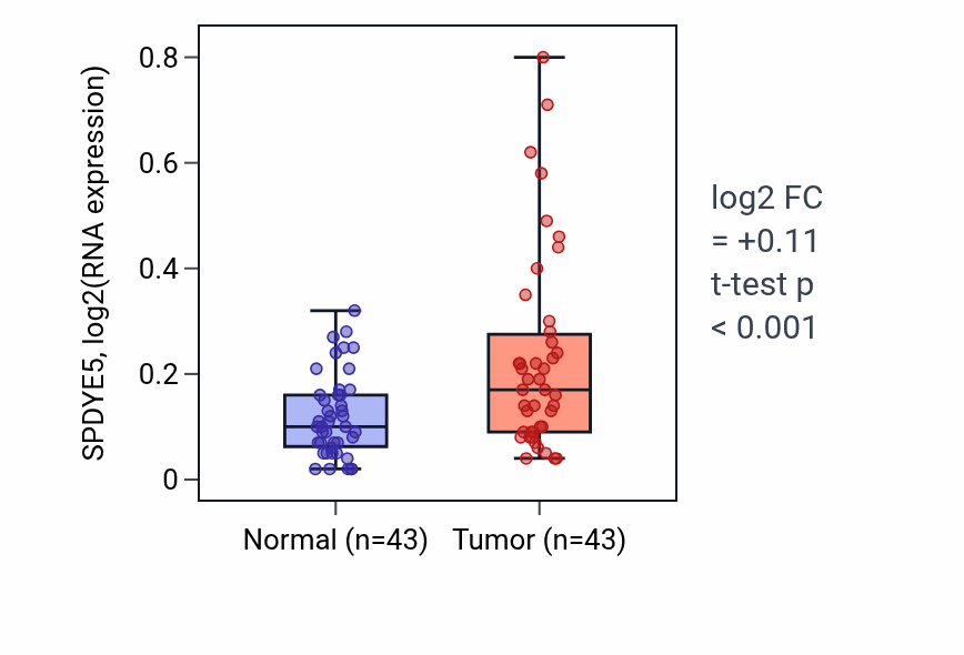 Tumor-vs-normal expression box plot for SPDYE5 RNA in HNSC.