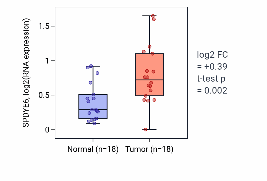 Tumor-vs-normal expression box plot for SPDYE6 RNA in BLCA.