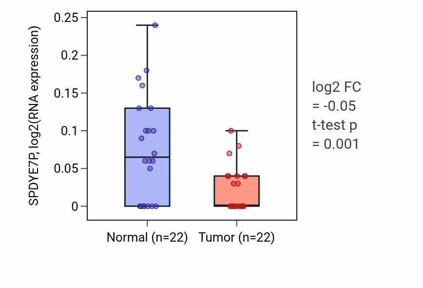 Tumor-vs-normal expression box plot for SPDYE7P RNA in KICH.
