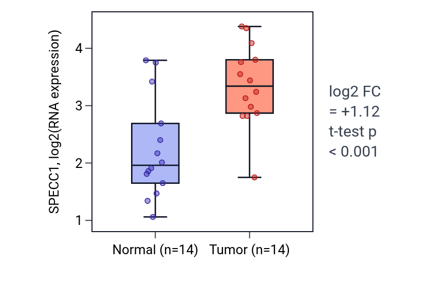 Tumor-vs-normal expression box plot for SPECC1 in HNSC.