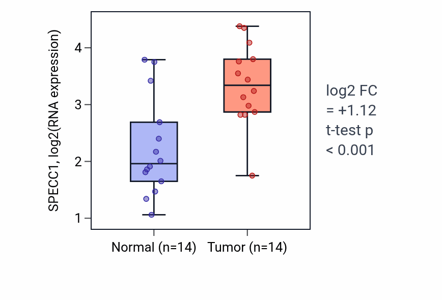 Tumor-vs-normal expression box plot for SPECC1 RNA in HNSC.
