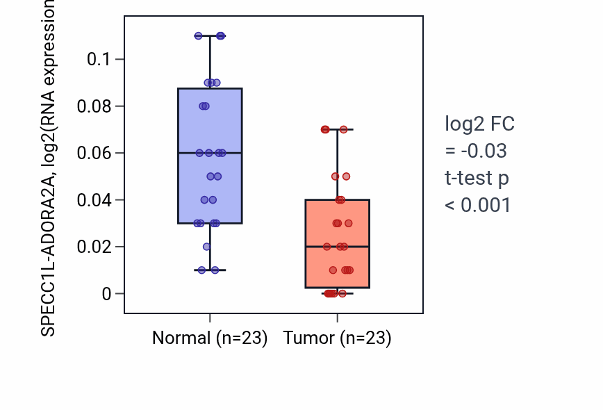 Tumor-vs-normal expression box plot for SPECC1L-ADORA2A in THCA.