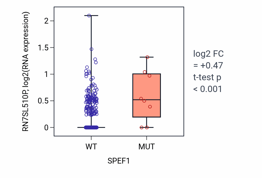 Box plot of RN7SL510P in SPEF1-low vs SPEF1-high samples in UCEC.