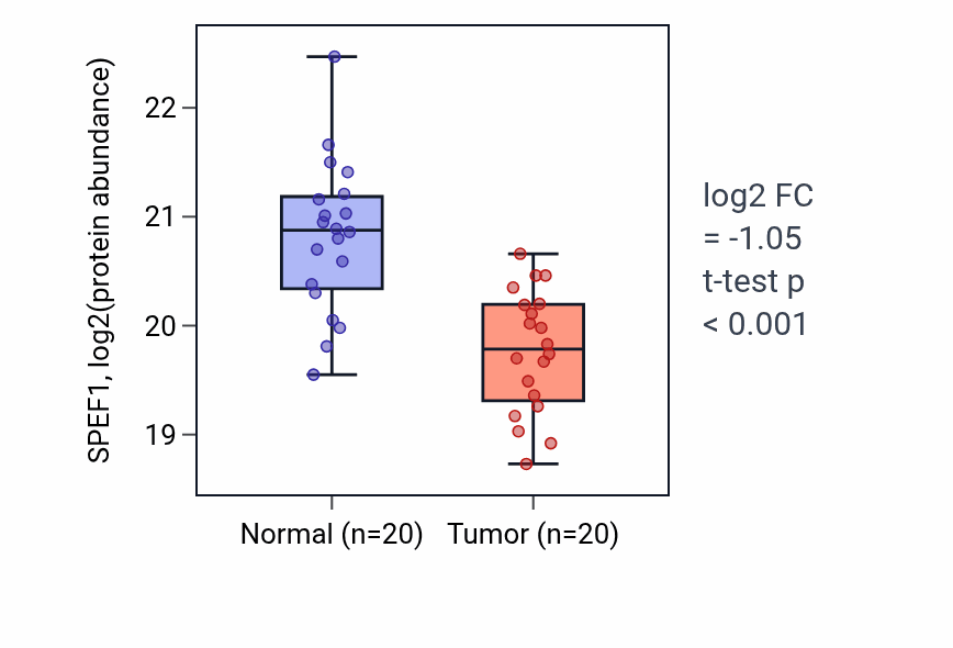 Tumor-vs-normal mass-spec protein box plot for SPEF1 in LUAD.