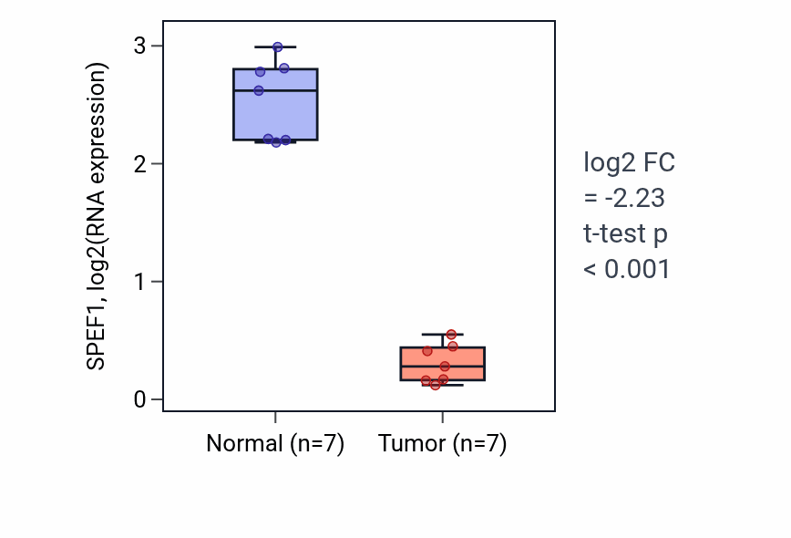 Tumor-vs-normal expression box plot for SPEF1 RNA in KICH.