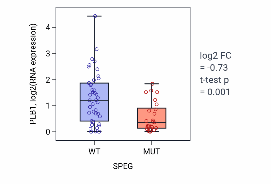 Box plot of PLB1 in SPEG-low vs SPEG-high samples in LARGE_INTESTINE.