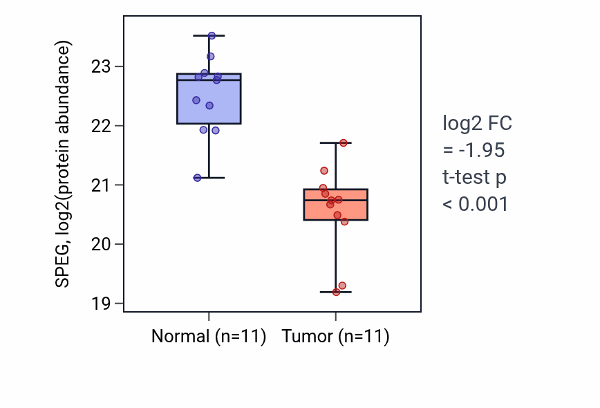 Tumor-vs-normal mass-spec protein box plot for SPEG in COAD.