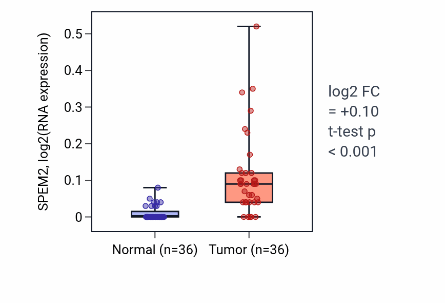 Tumor-vs-normal expression box plot for SPEM2 in KIRC.