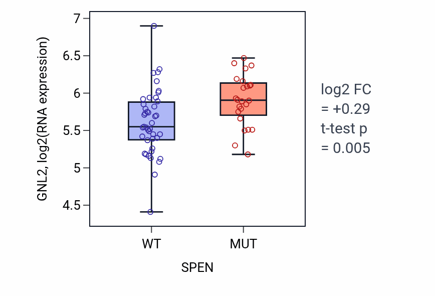 Box plot of GNL2 in SPEN-low vs SPEN-high samples in LARGE_INTESTINE.
