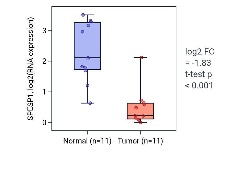 Tumor-vs-normal expression box plot for SPESP1 in UCEC.