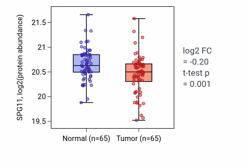 Tumor-vs-normal mass-spec protein box plot for SPG11 in COAD.