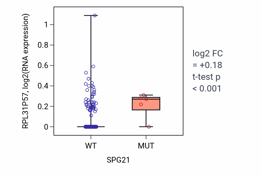 Box plot of RPL31P57 in SPG21-low vs SPG21-high samples in BLCA.