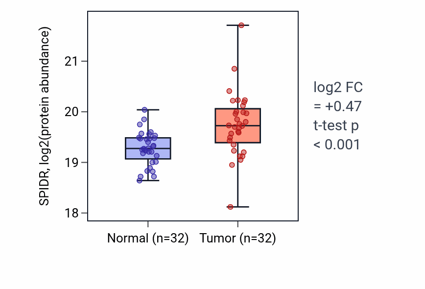 Tumor-vs-normal mass-spec protein box plot for SPIDR in LUAD.