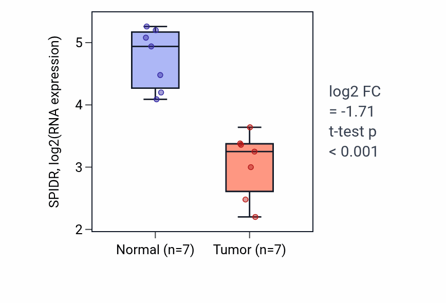 Tumor-vs-normal expression box plot for SPIDR RNA in KICH.