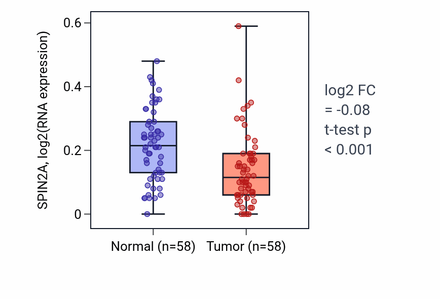 Tumor-vs-normal expression box plot for SPIN2A RNA in THCA.
