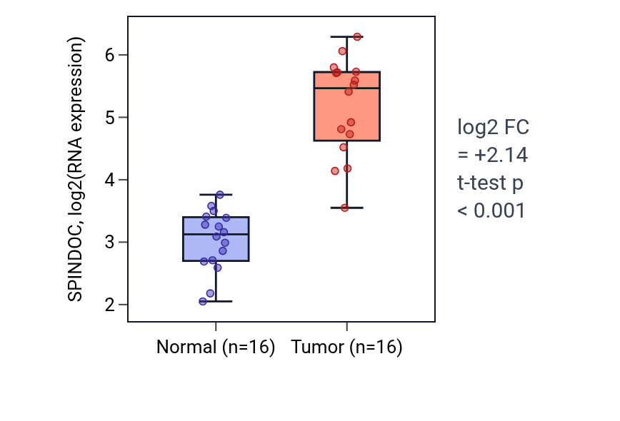 Tumor-vs-normal expression box plot for SPINDOC in HNSC.