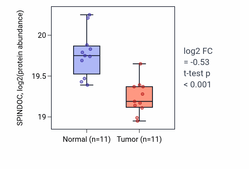 Tumor-vs-normal mass-spec protein box plot for SPINDOC in LUAD.