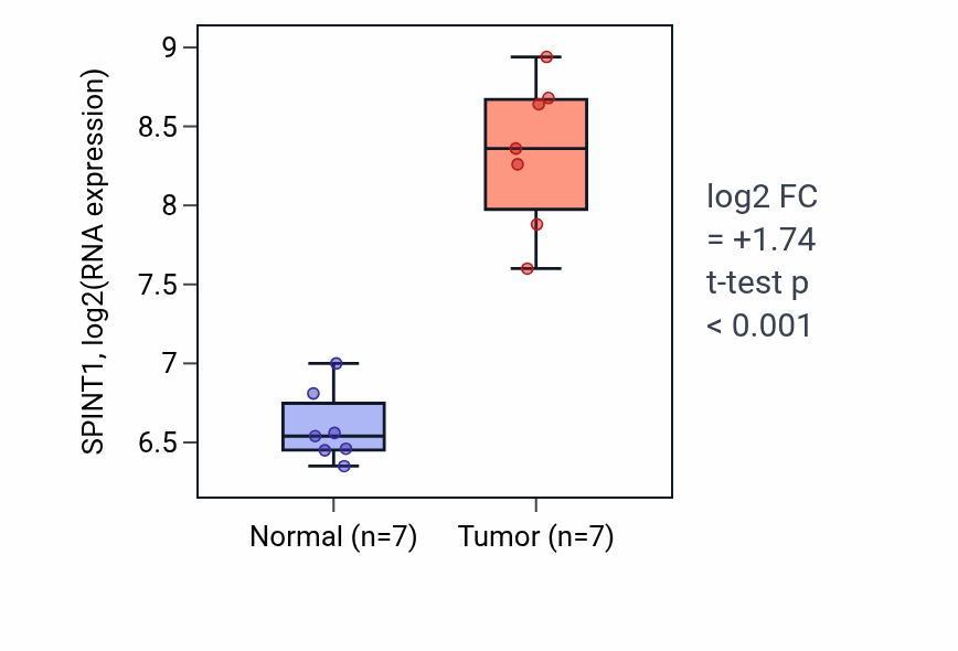 Tumor-vs-normal expression box plot for SPINT1 RNA in THCA.