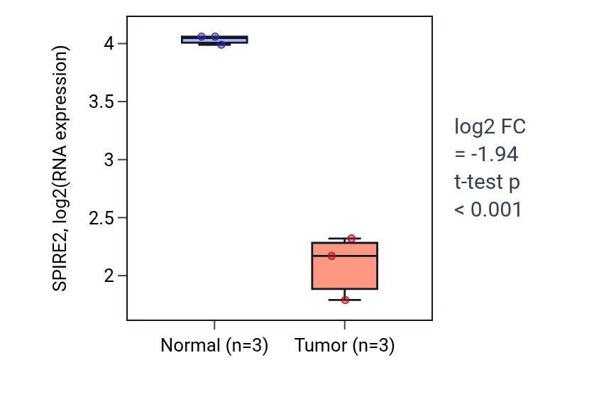 Tumor-vs-normal expression box plot for SPIRE2 in THCA.