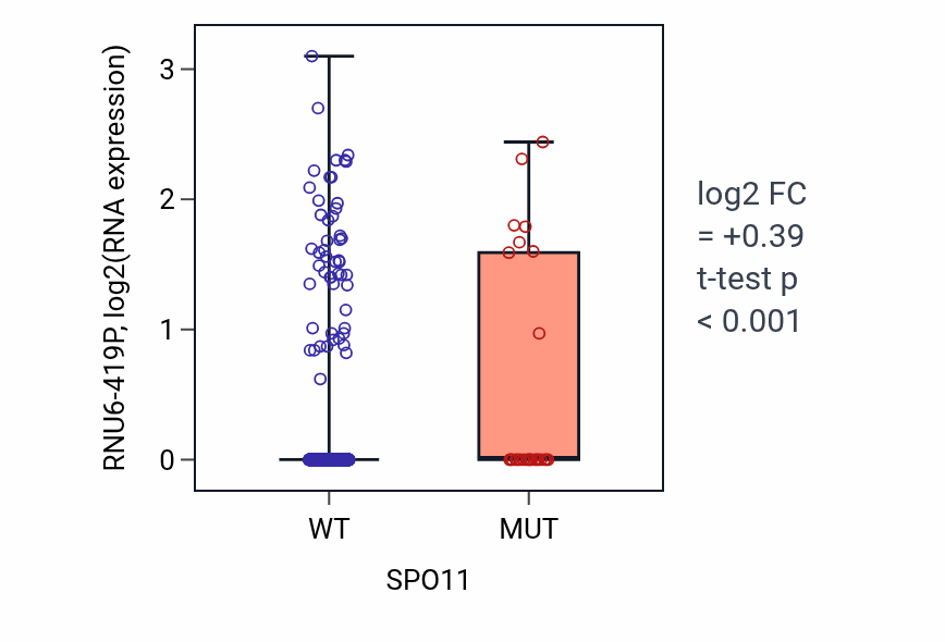 Box plot of RNU6-419P in SPO11-low vs SPO11-high samples in UCEC.
