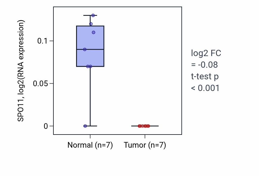 Tumor-vs-normal expression box plot for SPO11 RNA in THCA.