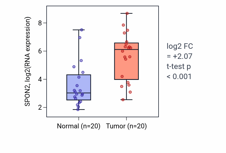 Tumor-vs-normal expression box plot for SPON2 RNA in KIRC.