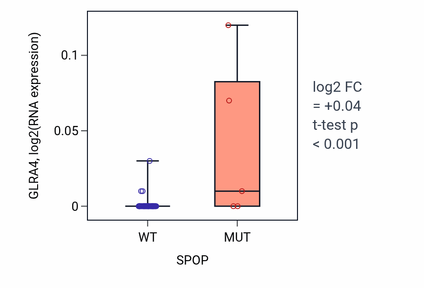 Box plot of GLRA4 in SPOP-low vs SPOP-high samples in OVARY.