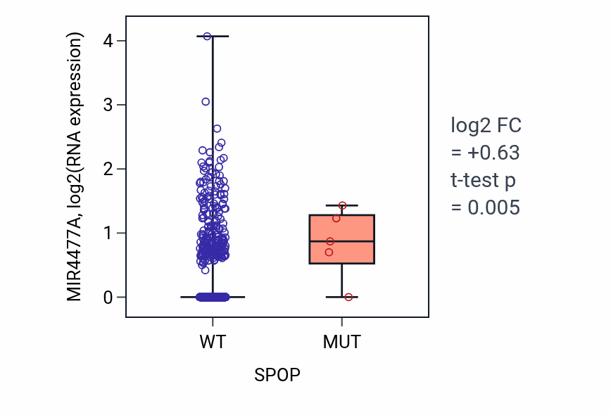 Box plot of MIR4477A in SPOP-low vs SPOP-high samples in BRCA.