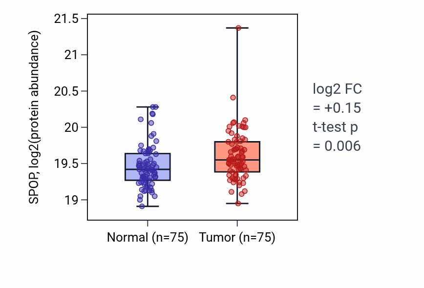 Tumor-vs-normal mass-spec protein box plot for SPOP in LSCC.